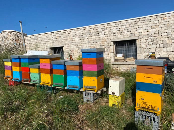 Le arnie davanti a un muro in pietra